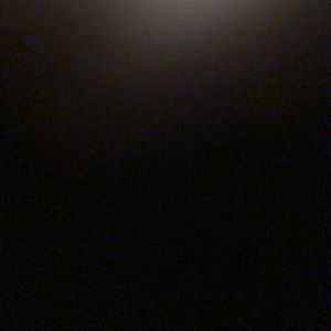 Meet your Posher, Gracie ann